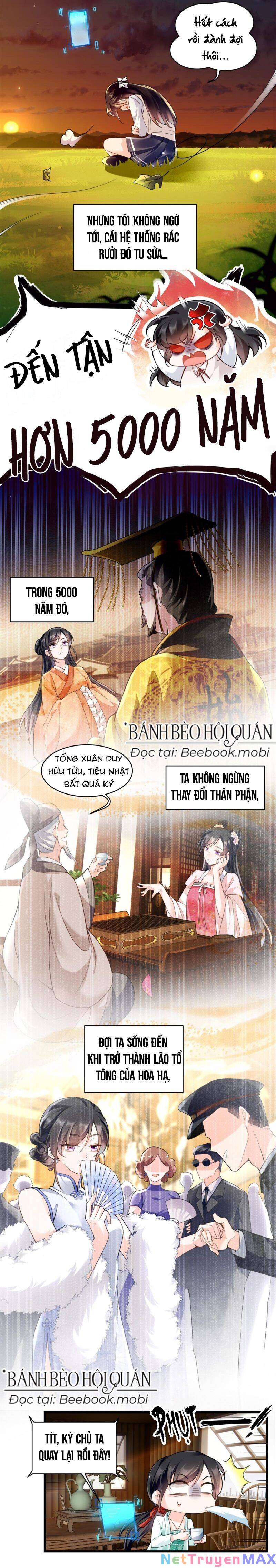 lão tổ tông vừa xinh vừa ngầu chapter 1 - Trang 5