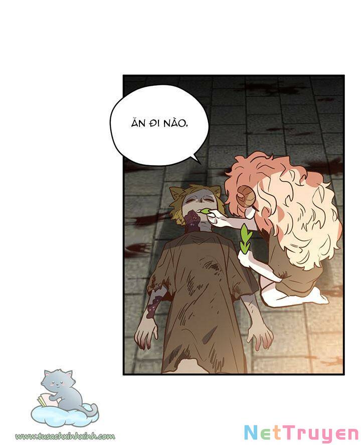 hãy dậy đi hỡi chiến binh chapter 42 - Next chapter 43