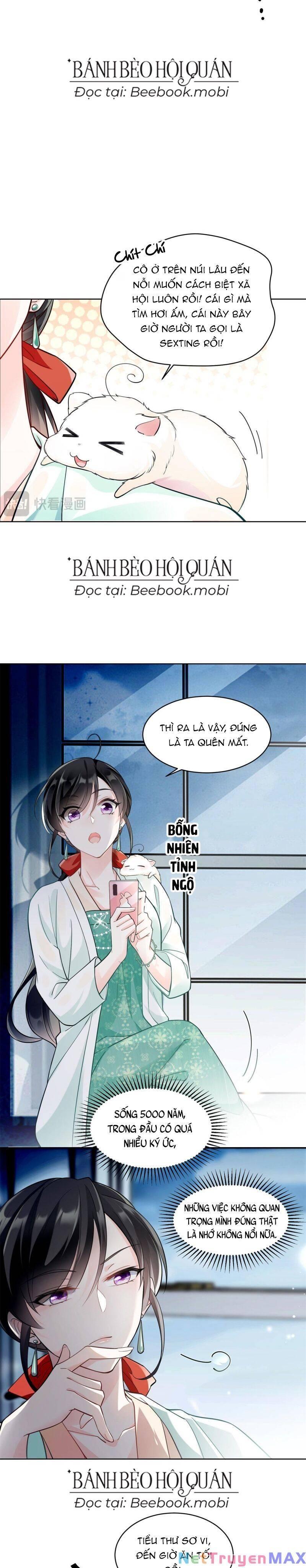 lão tổ tông vừa xinh vừa ngầu chapter 4 - Next chapter 5