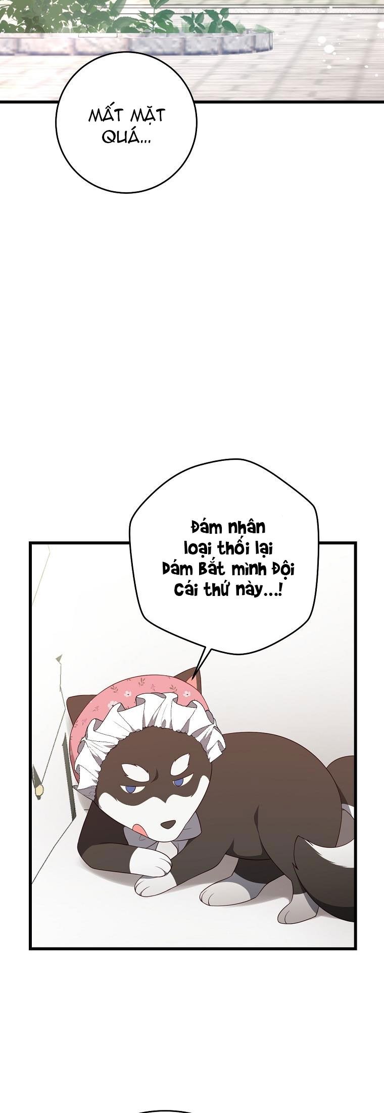 TỪ GIỜ CÔNG QUỐC SẼ LÀ CỦA TA Chap 22.1 - Next Chap 23.2