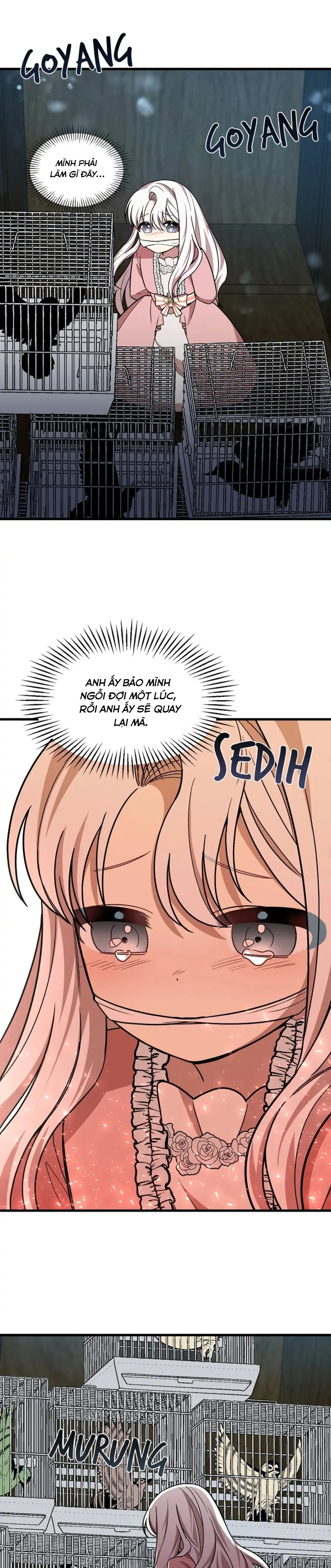 Anh trai nguy hiểm của tôi Chap 15 - Next Chap 16