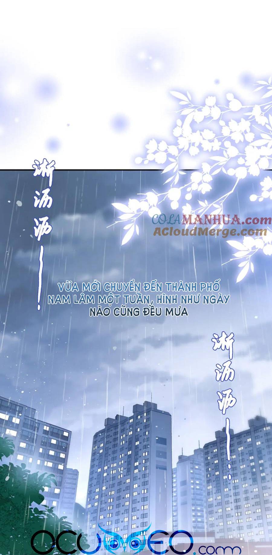 núi của cô ấy, biển của cô ấy chapter 1 - Next chapter 2