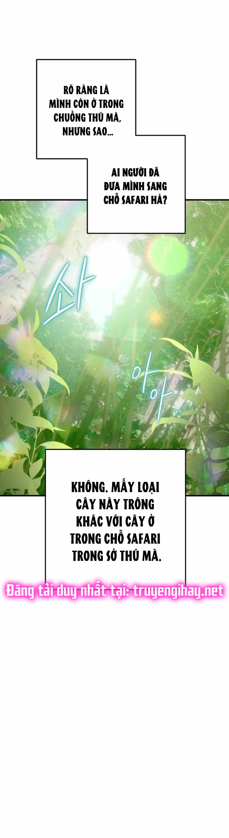 Bỗng Tôi Biến Thành Quạ Đen Chap 1 - Trang 2