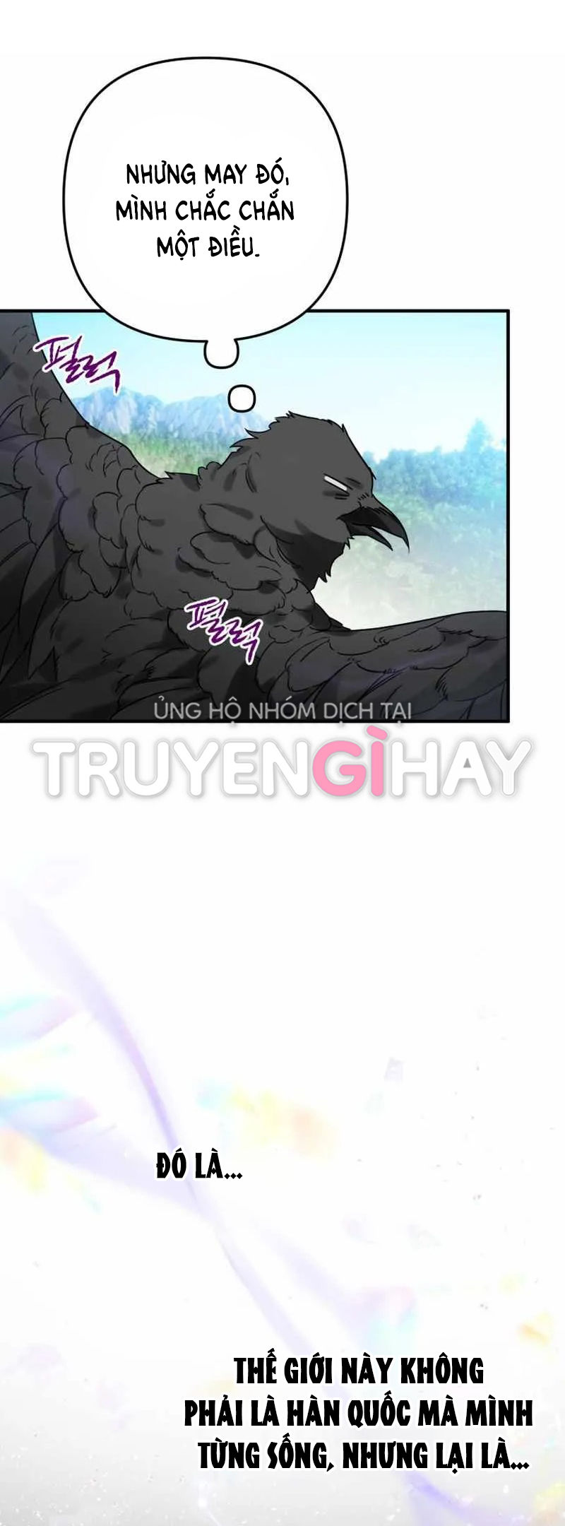 Bỗng Tôi Biến Thành Quạ Đen Chap 1 - Trang 2