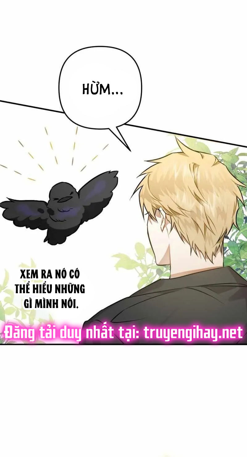 Bỗng Tôi Biến Thành Quạ Đen Chap 2 - Trang 2