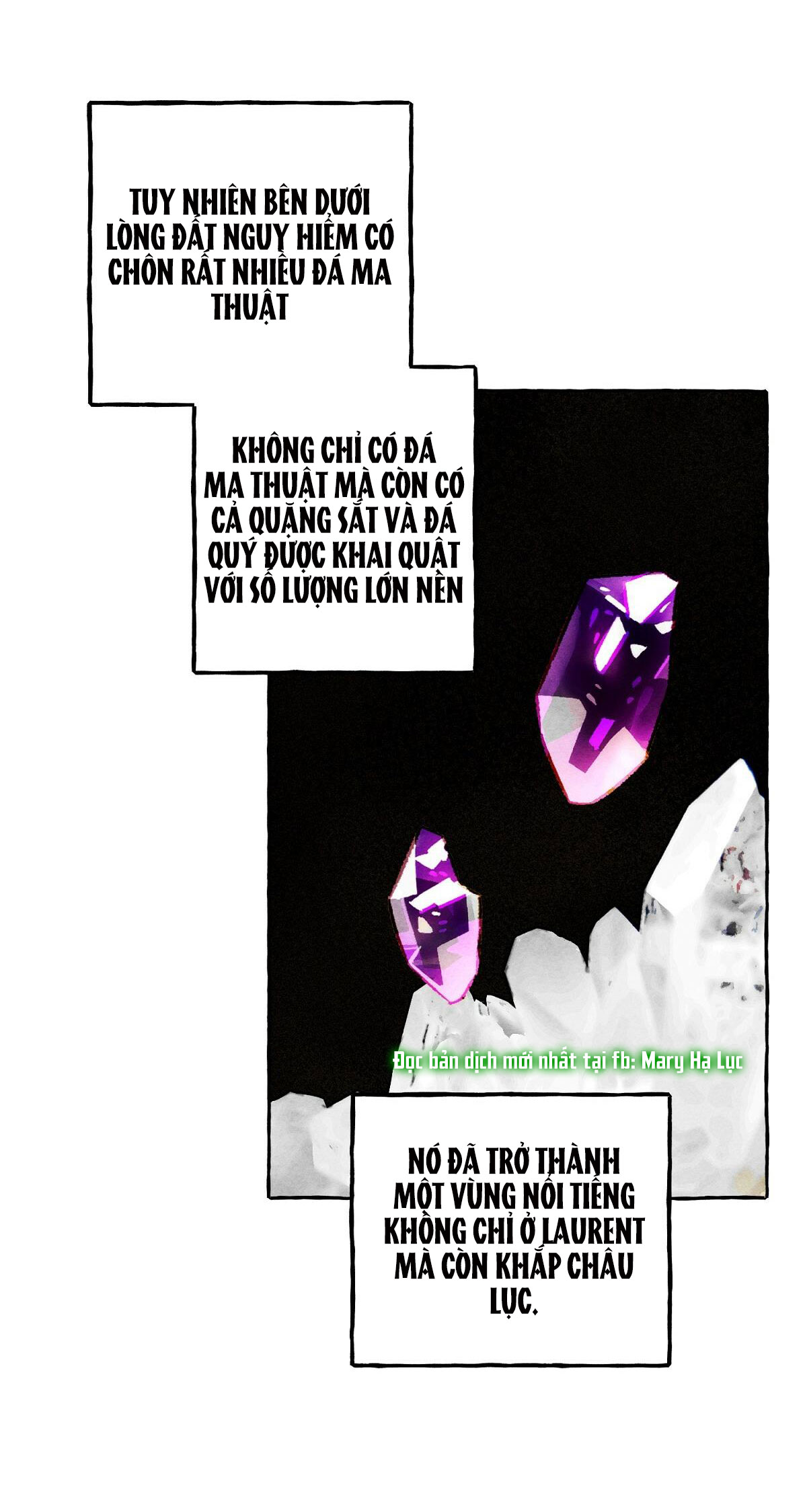 nuôi dưỡng một bé rồng đen chapter 41 - Trang 5