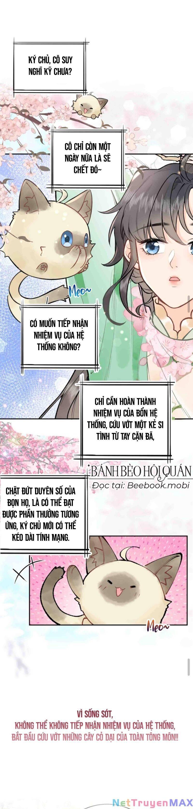 toàn tông môn đều là kẻ si tình, chỉ có ta là tỉnh táo chapter 1 - Trang 2