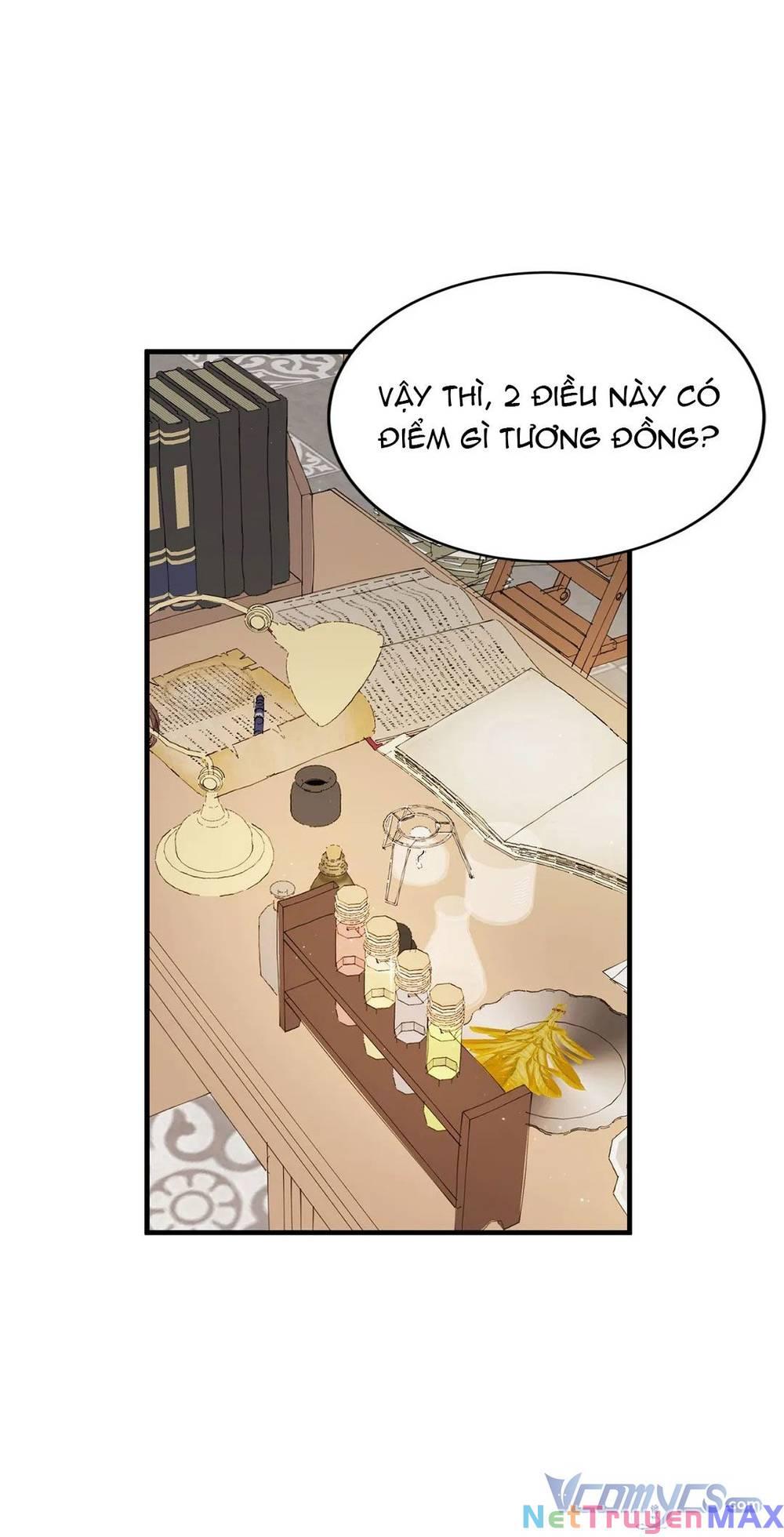 tôi chính là em gái của nữ chính hắc ám chapter 20 - Next chapter 21