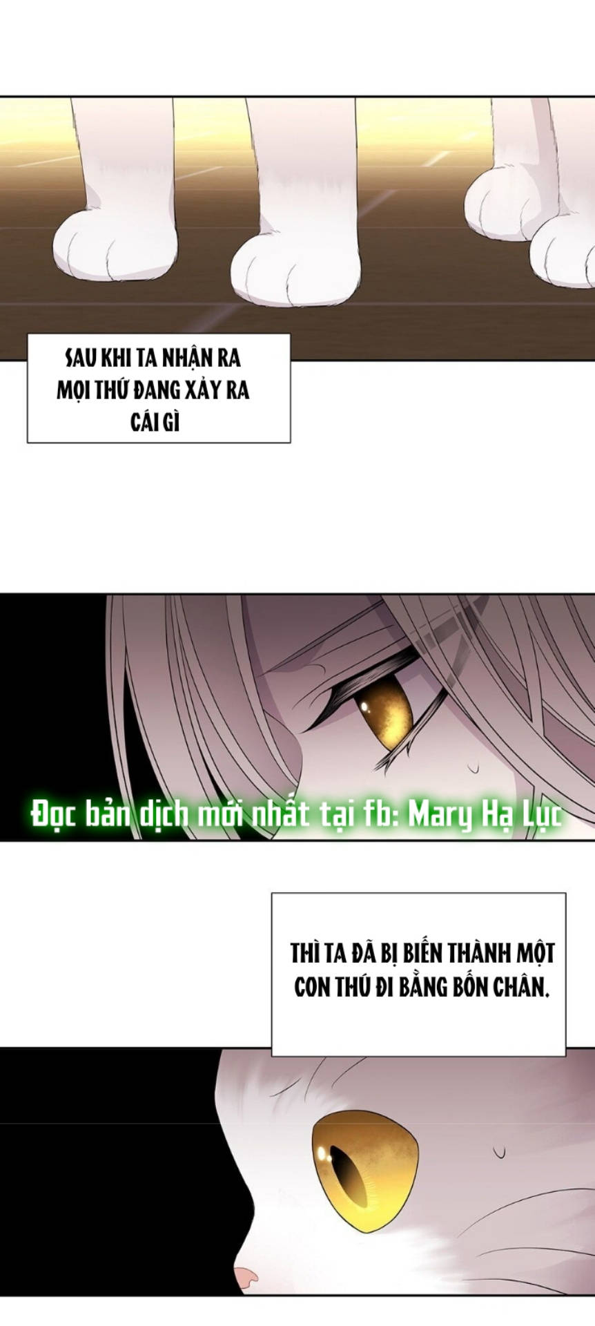 Năm Môn Đệ Của Charlotte Chap 60 - Next Chap 61