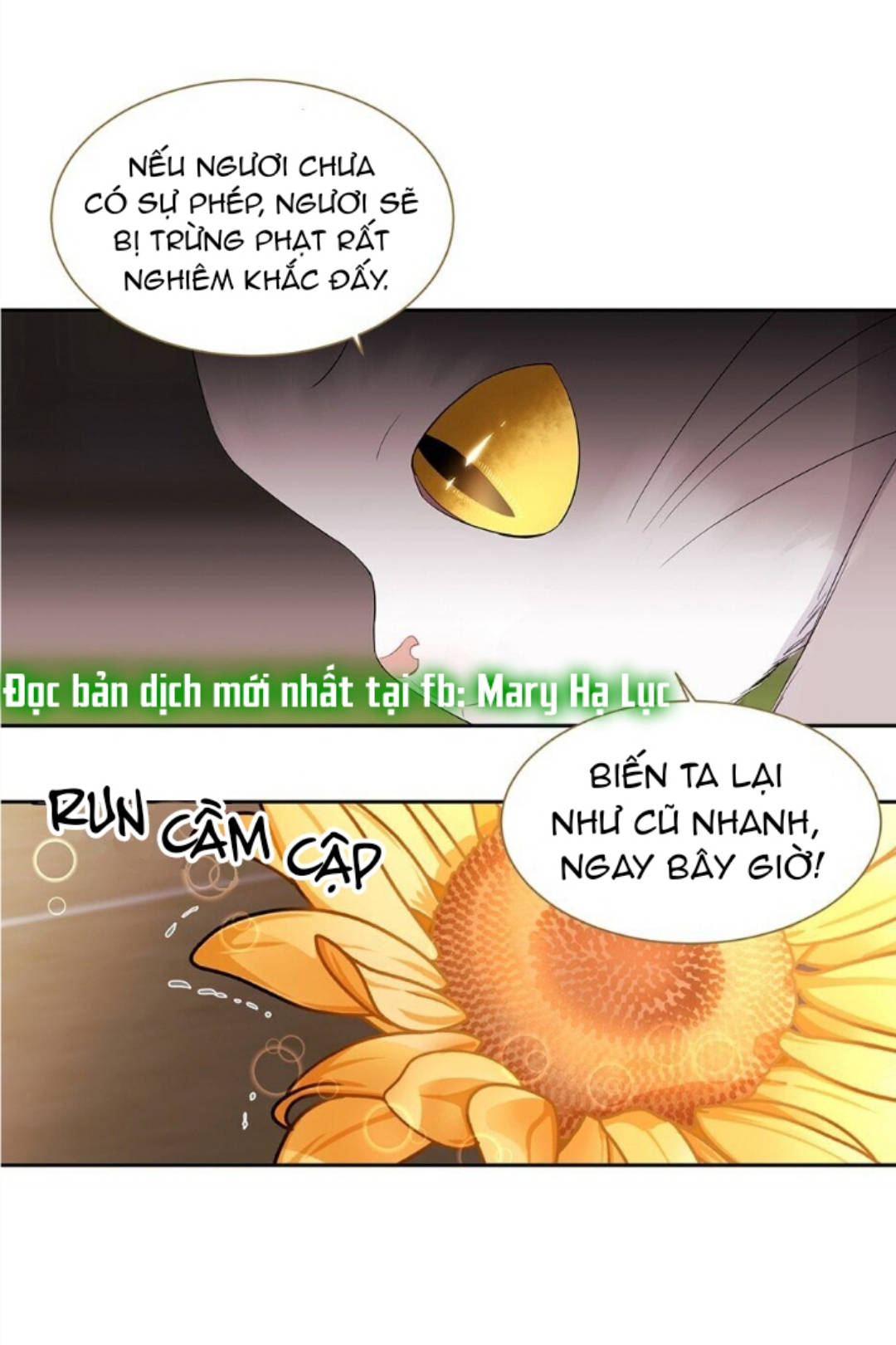 Năm Môn Đệ Của Charlotte Chap 60 - Next Chap 61