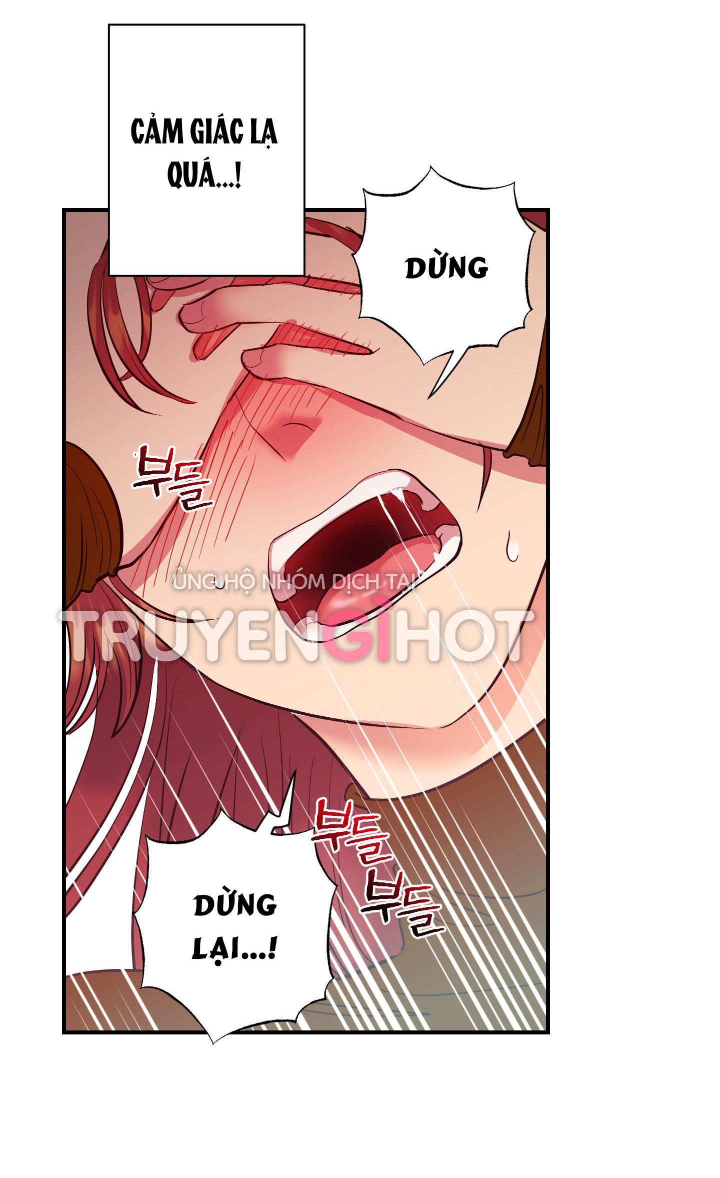 [18+] một lòng một dạ Chap 25.1 - Trang 2