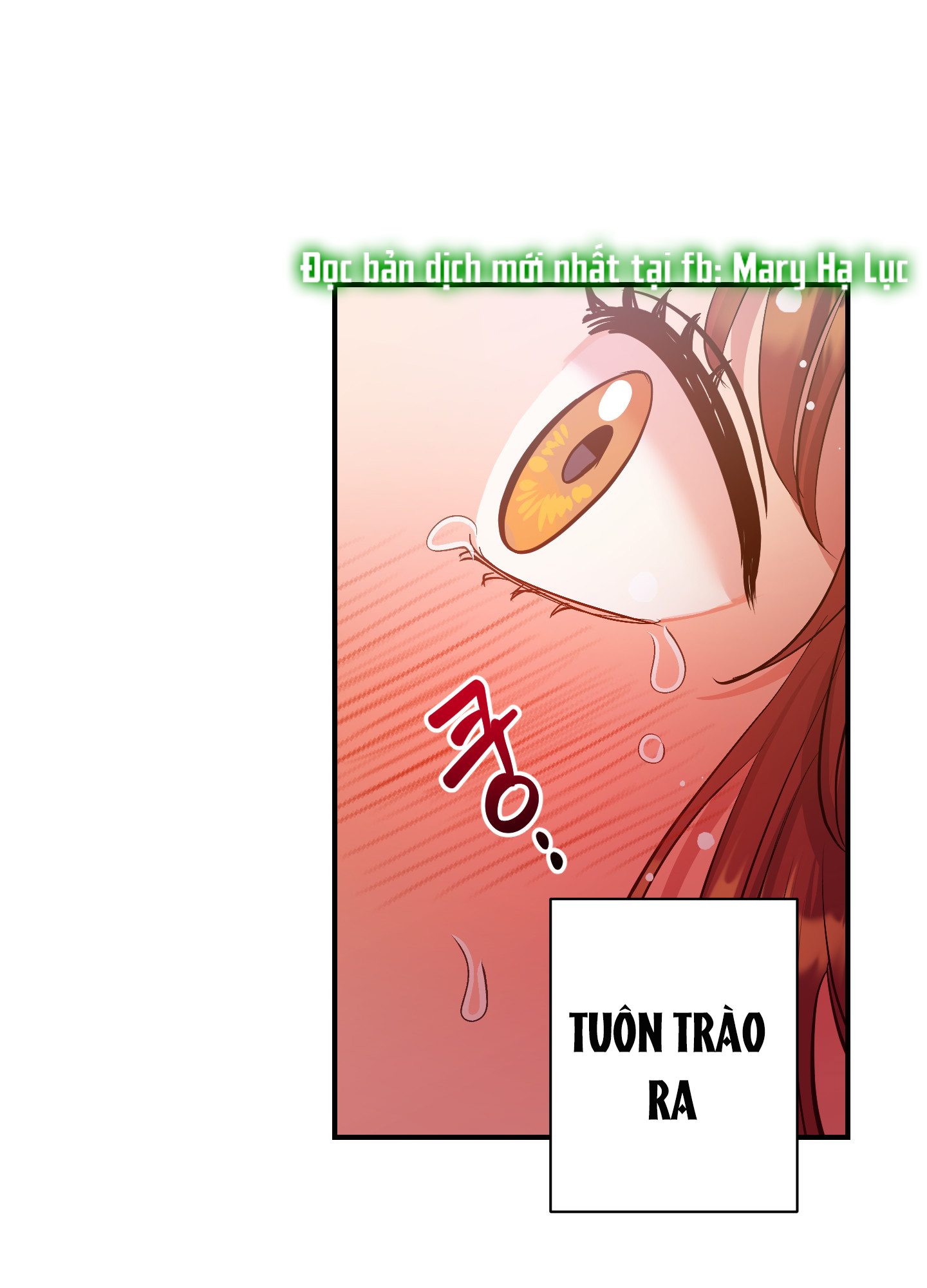 [18+] một lòng một dạ Chap 27.1 - Trang 2