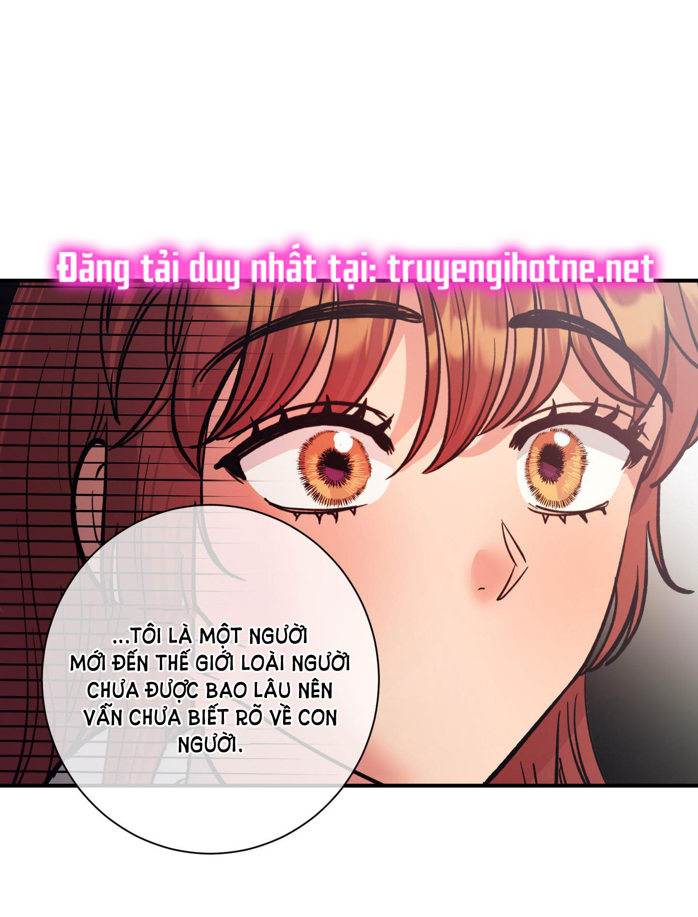 [18+] một lòng một dạ Chap 52.2 - Trang 2