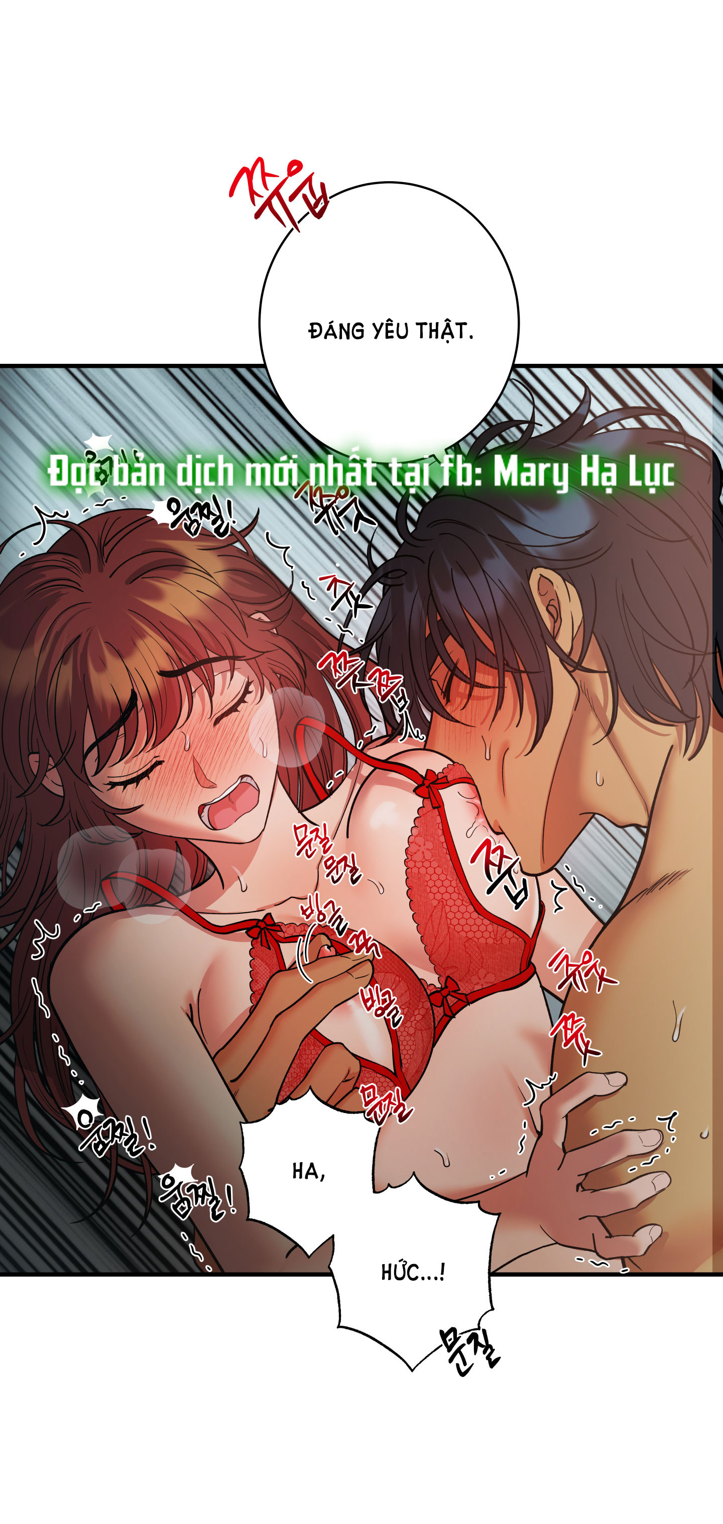 [18+] một lòng một dạ Chap 58.2 - Trang 2