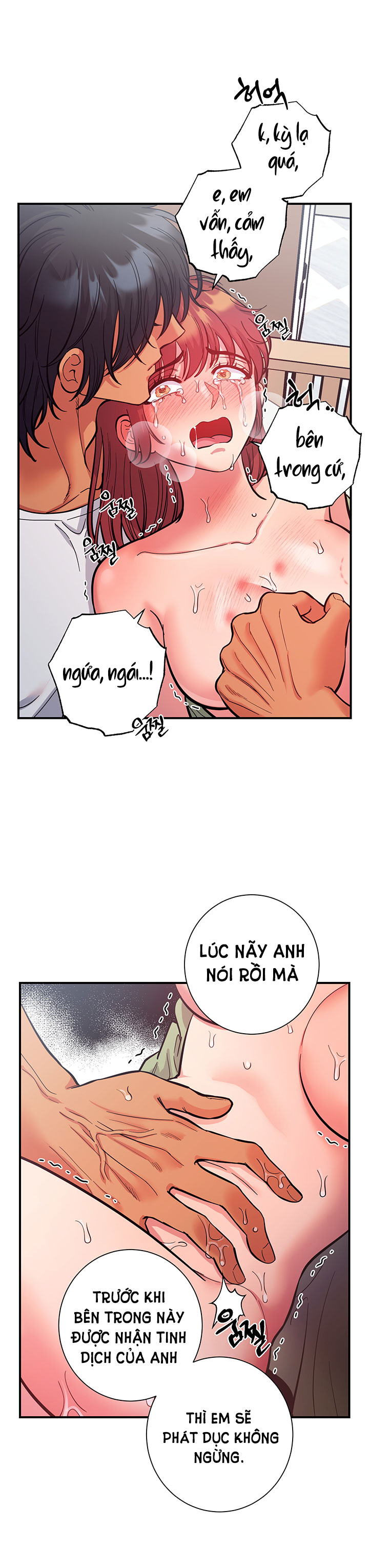 [18+] một lòng một dạ Chap 63.2 - Trang 2